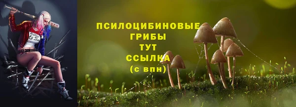 амф Алзамай