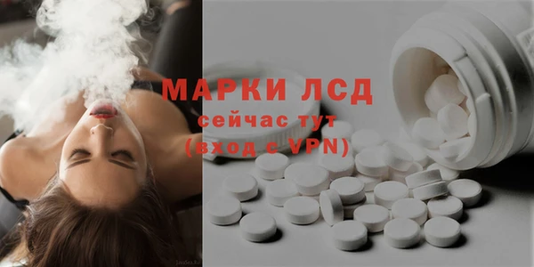 амф Алзамай